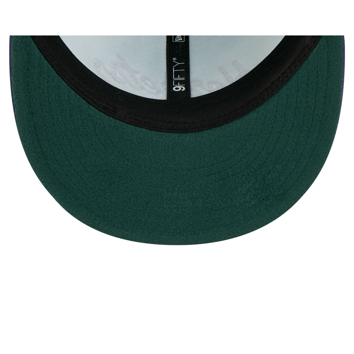 Charlotte Hornets Chainstitch Script Retro Crown 9FIFTY Snapback Hat