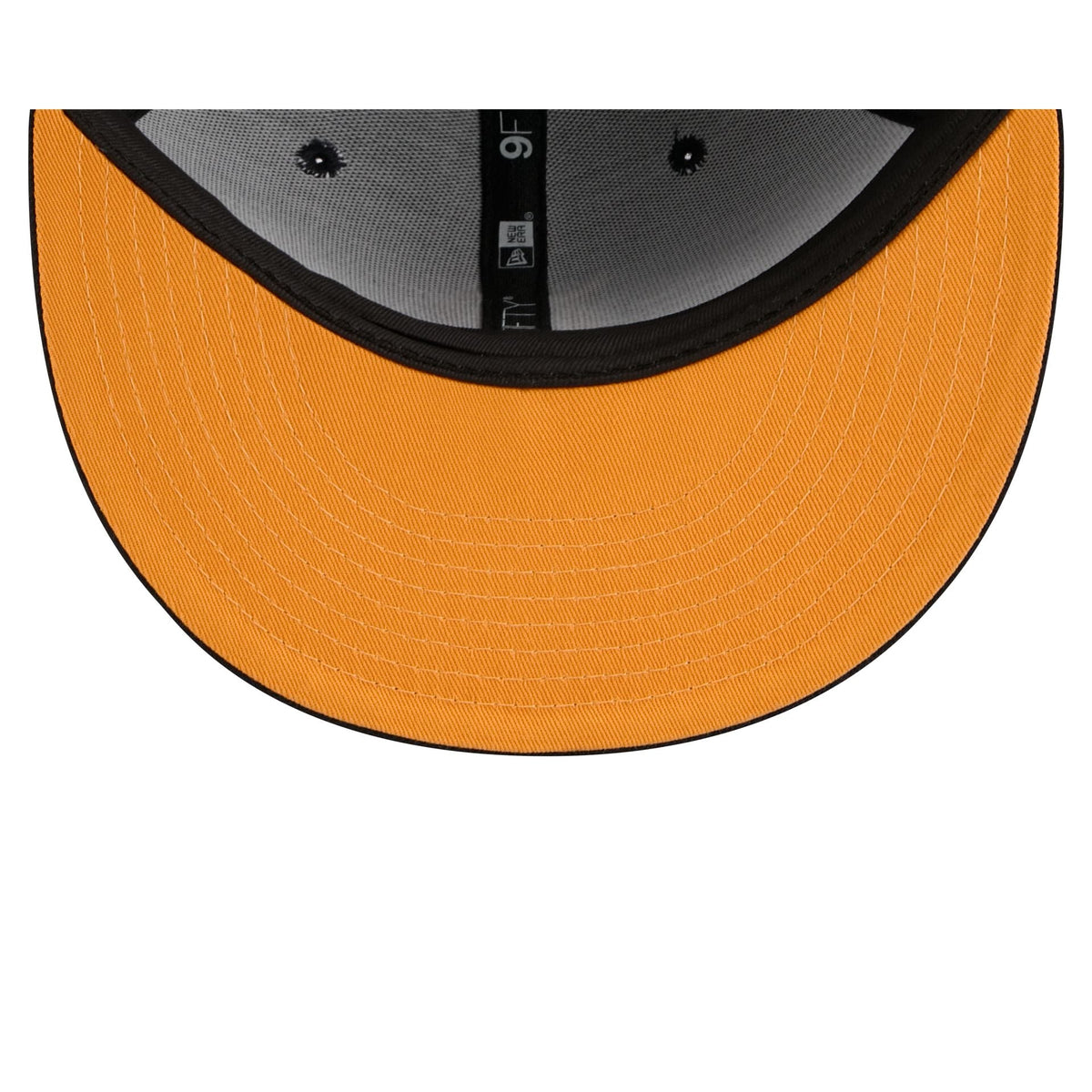 Detroit Tigers Daffy Duck Catch 9FIFTY Snapback Hat