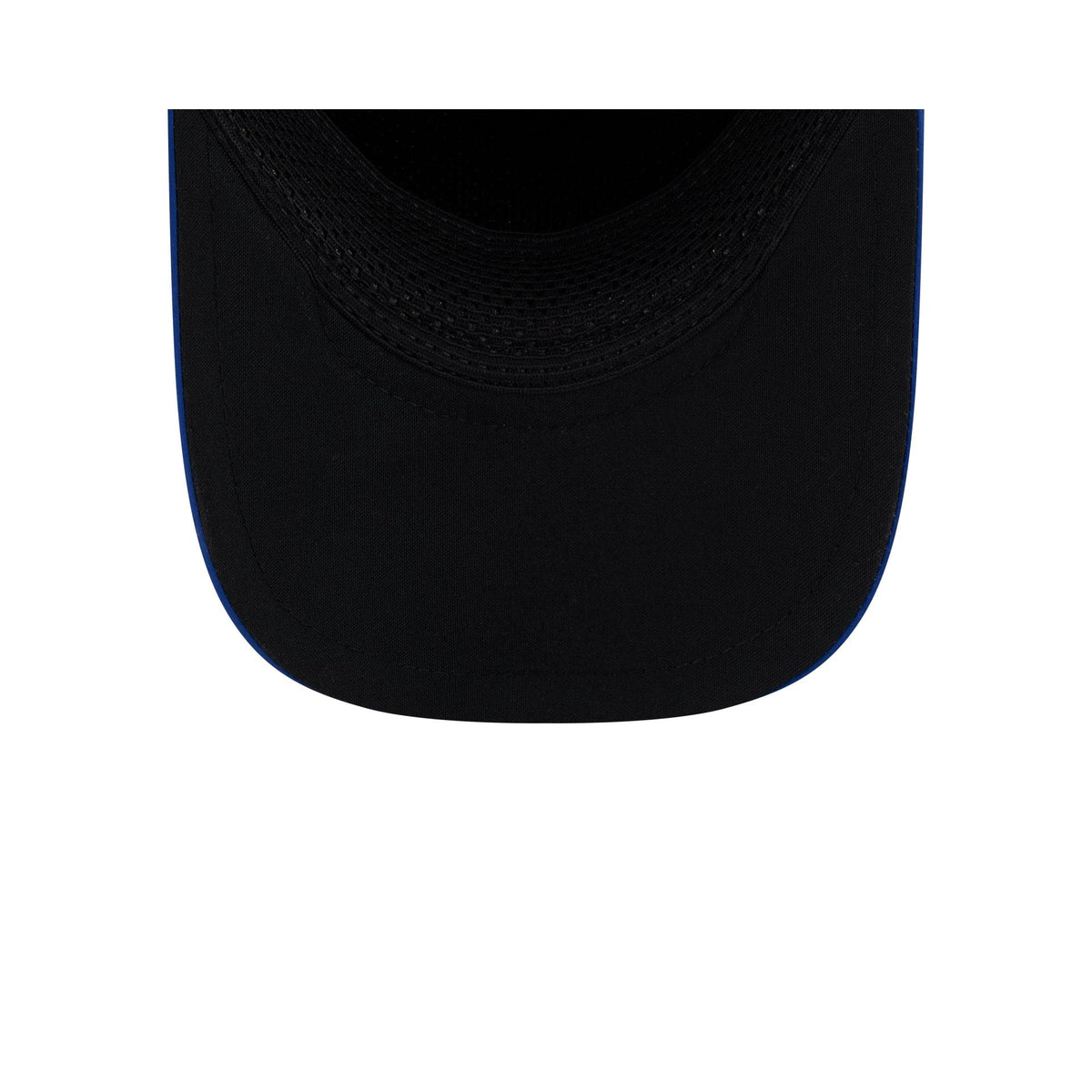 Toronto Blue Jays 9FORTY APEX Snapback Hat
