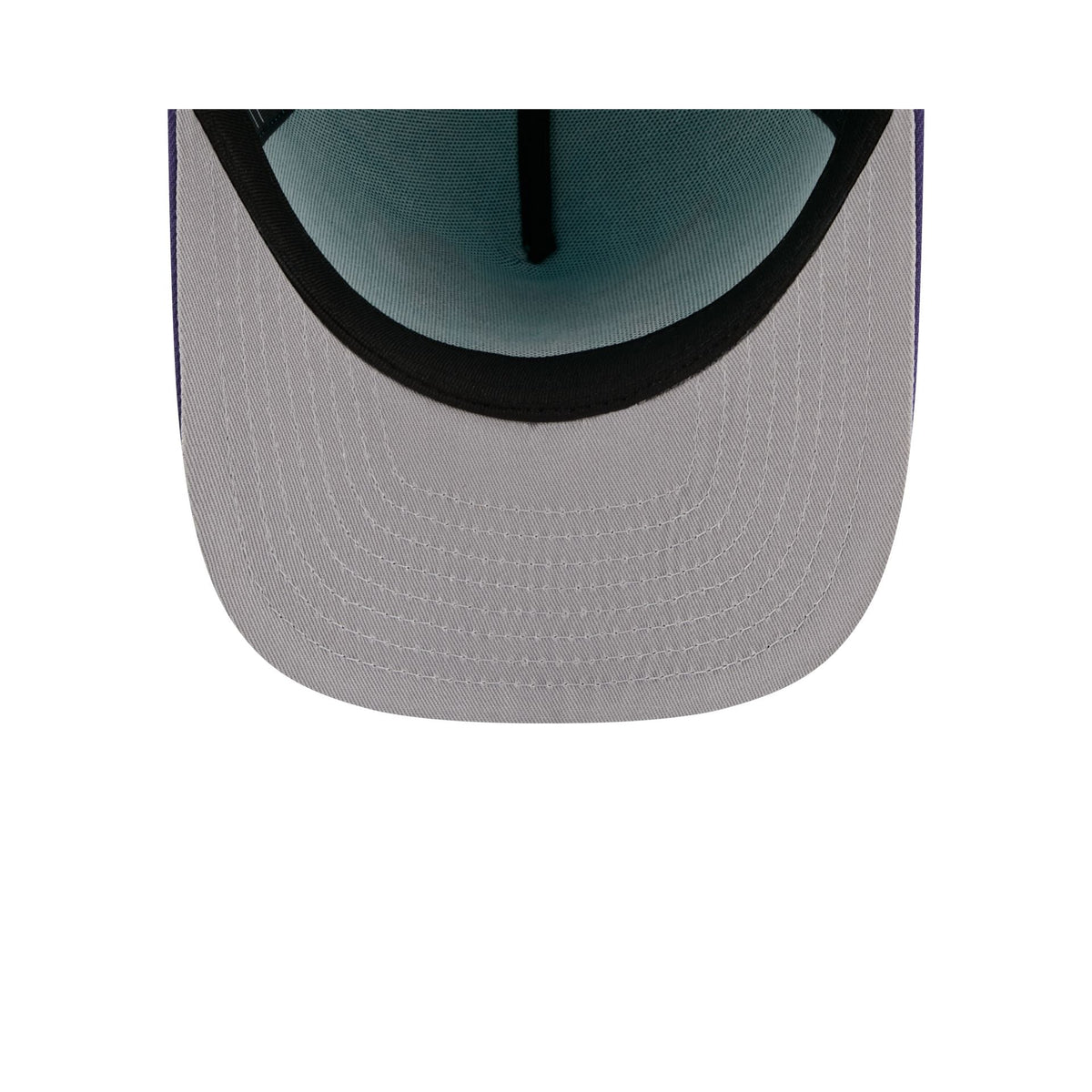 Charlotte Hornets Cartoon 59FIFTY A-Frame Fitted Hat