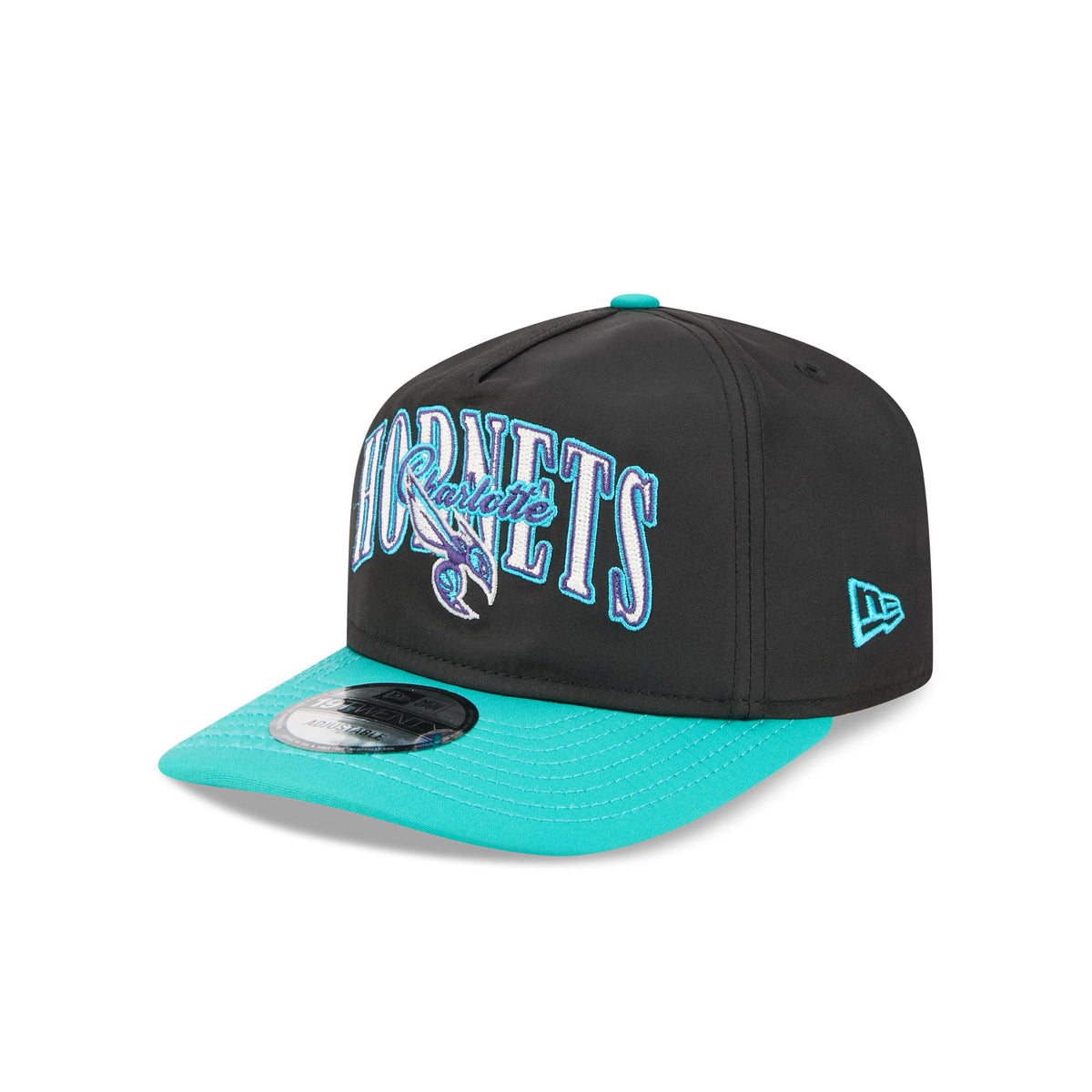 Charlotte Hornets Dual Logo 19TWENTY Adjustable Hat