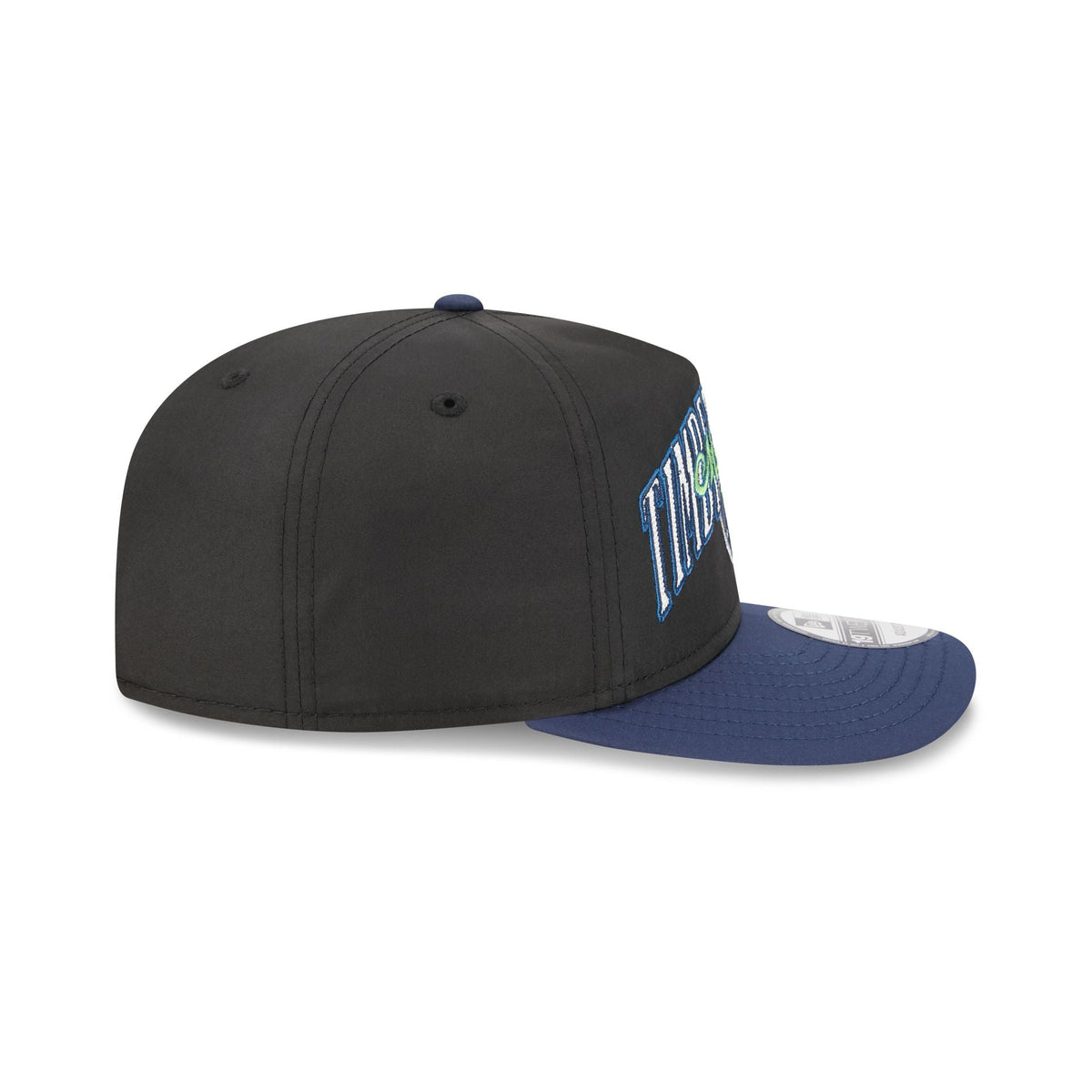 Minnesota Timberwolves Dual Logo 19TWENTY Adjustable Hat