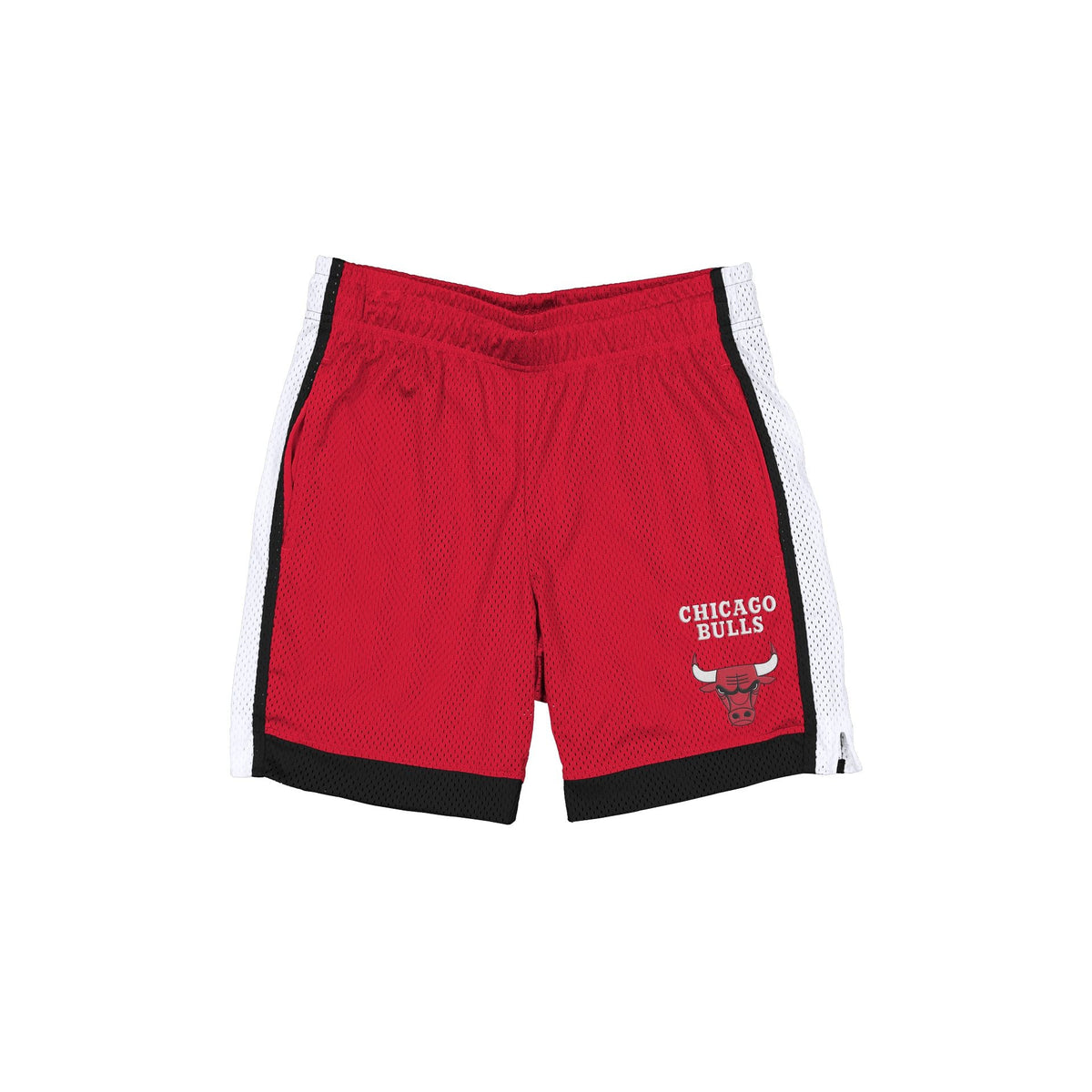 Chicago Bulls Team Color Summer Shorts