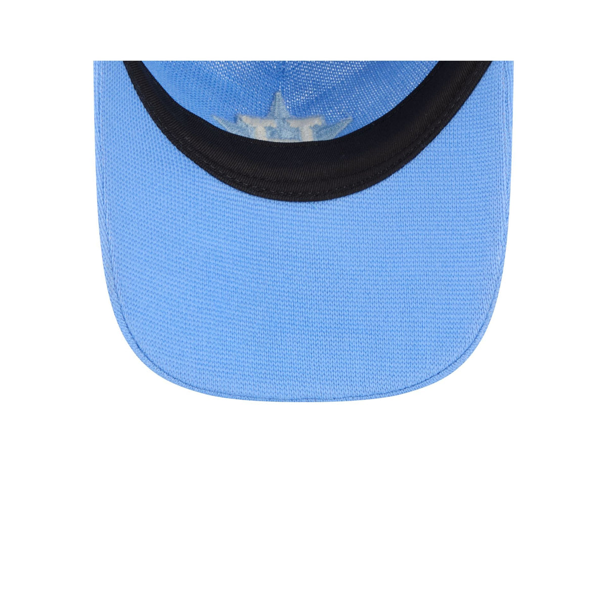 Houston Astros Merino Wool Sky Blue 9TWENTY Adjustable Hat