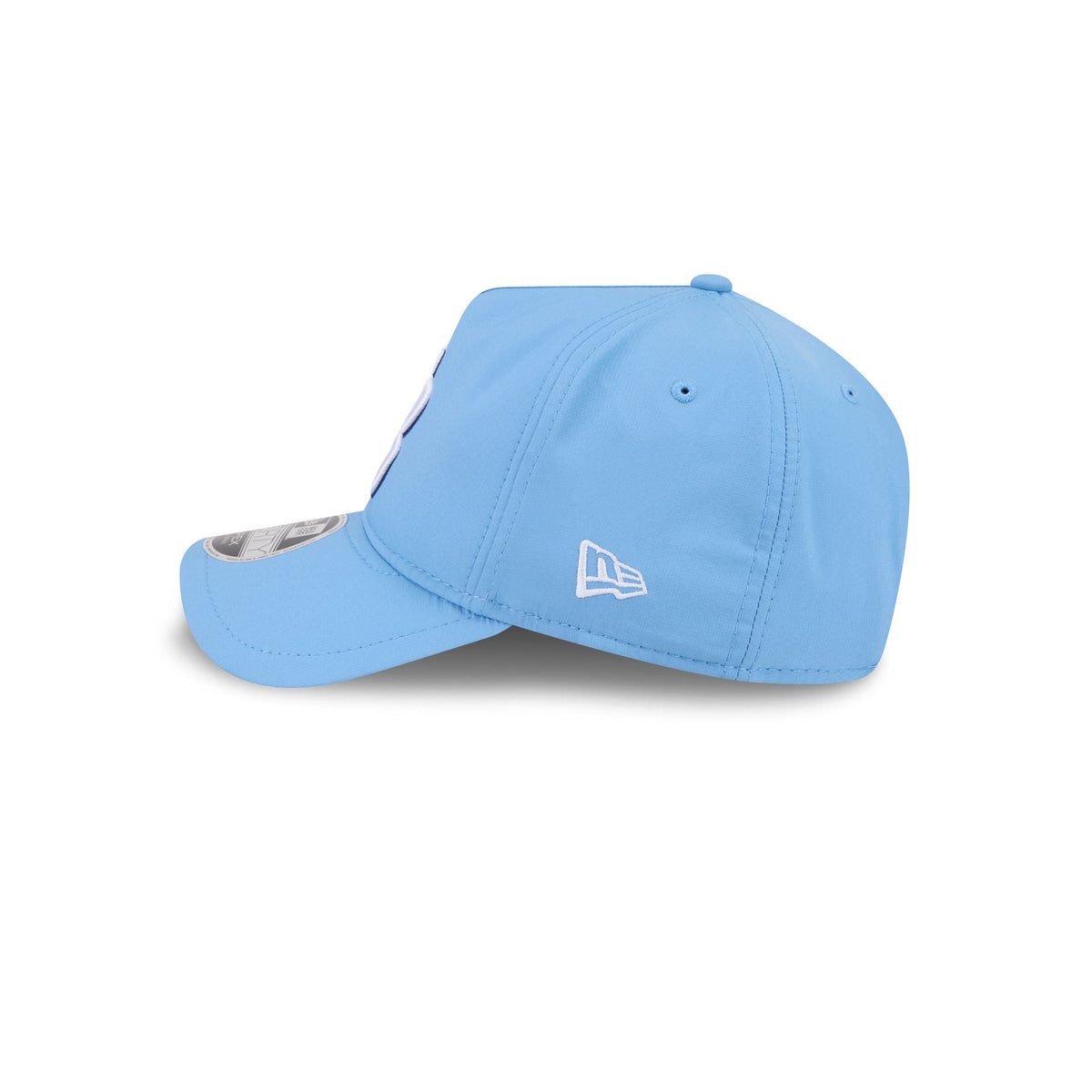 Tampa Bay Rays 9FORTY APEX Snapback Hat