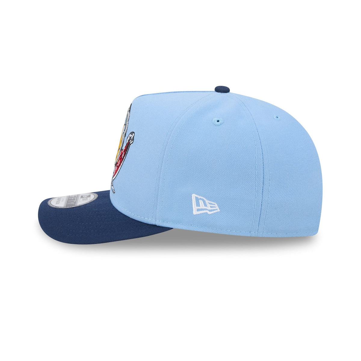 Memphis Grizzlies Cartoon 9FIFTY A-Frame Snapback Hat
