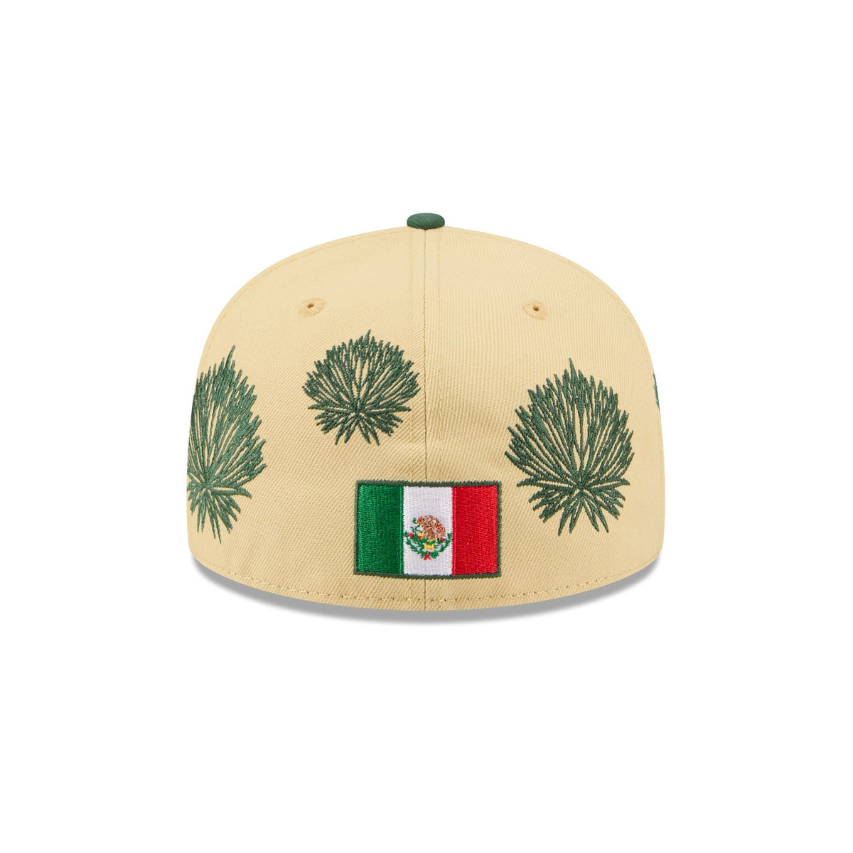 Houston Astros Agave 59FIFTY Fitted Hat