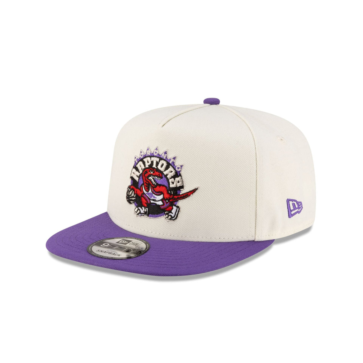 Toronto Raptors 1995-2008 Hardwood Classics Express Chrome White 9FIFTY A-Frame Snapback Hat