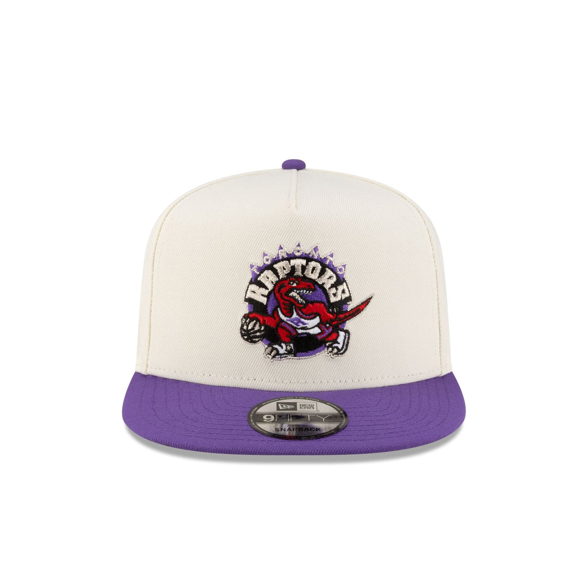 Toronto Raptors 1995-2008 Hardwood Classics Express Chrome White 9FIFTY A-Frame Snapback Hat