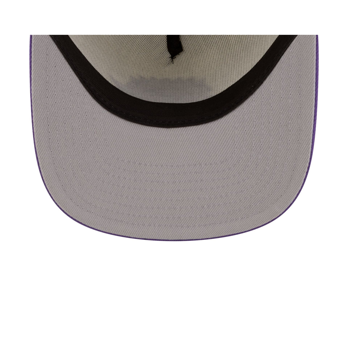 Toronto Raptors 1995-2008 Hardwood Classics Express Chrome White 9FIFTY A-Frame Snapback Hat