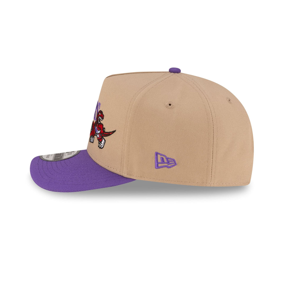 Toronto Raptors 1995-2008 Hardwood Classics Liner Camel 9FIFTY A-Frame Snapback Hat