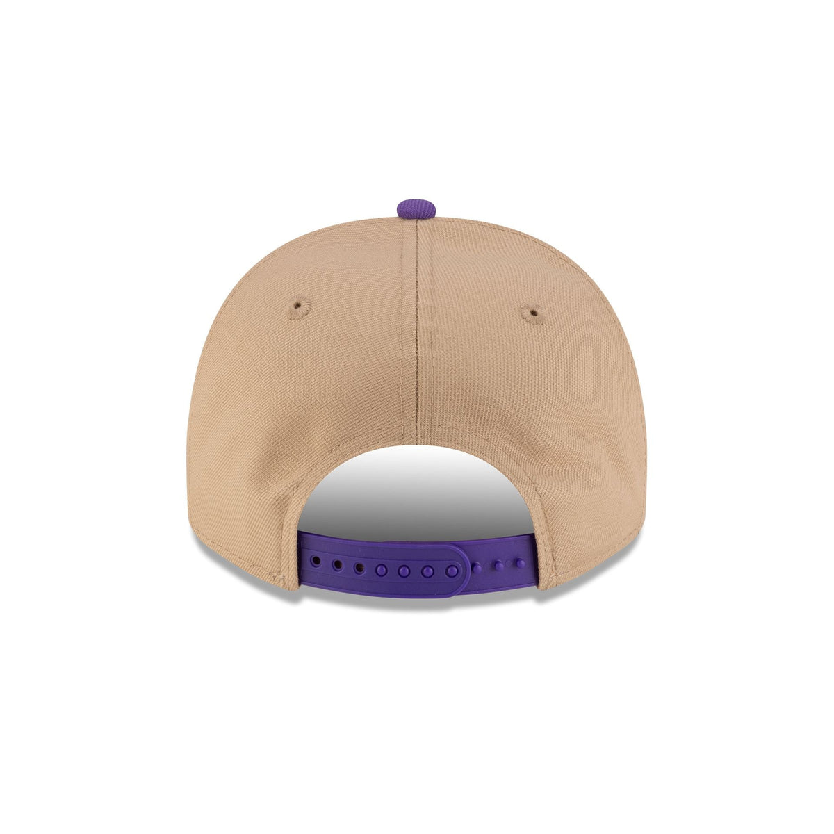 Toronto Raptors 1995-2008 Hardwood Classics Liner Camel 9FIFTY A-Frame Snapback Hat