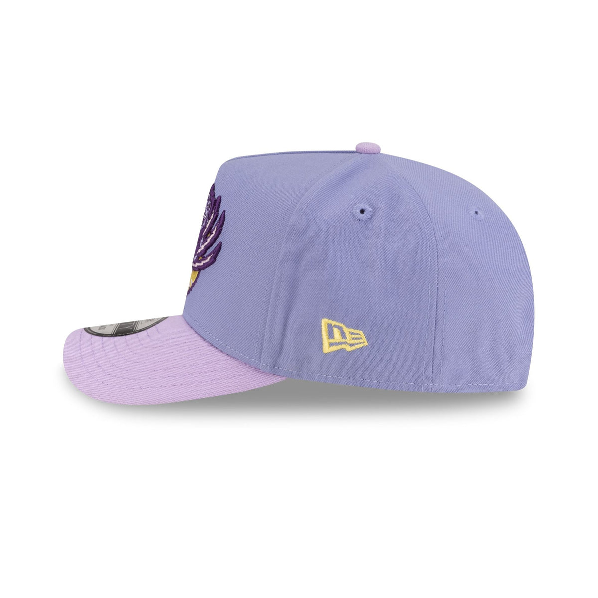 Vancouver Grizzlies Hardwood Classics Lavender Purple 9FIFTY A-Frame Snapback Hat