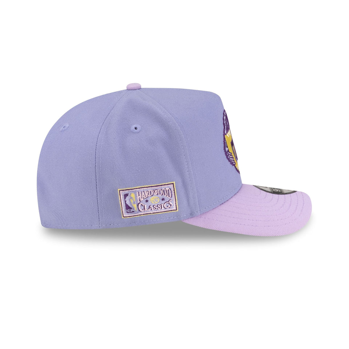 Vancouver Grizzlies Hardwood Classics Lavender Purple 9FIFTY A-Frame Snapback Hat