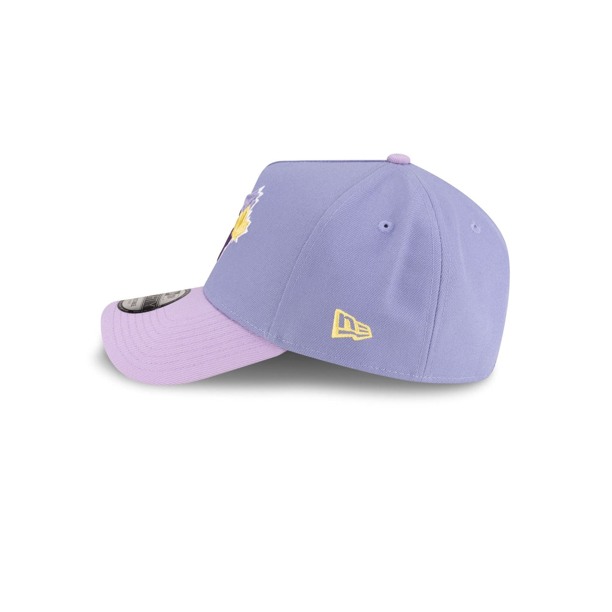 Toronto Blue Jays Lavender Pink 9FORTY A-Frame Snapback Hat