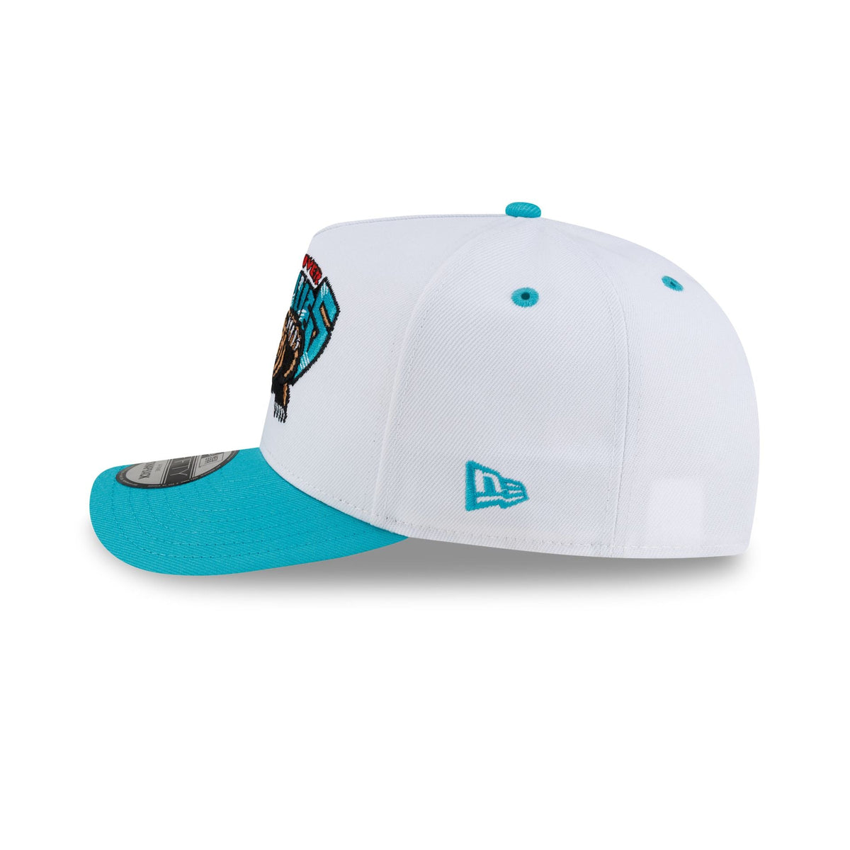 Vancouver Grizzlies Hardwood Classics 90s Panel 9FIFTY A-Frame Snapback Hat